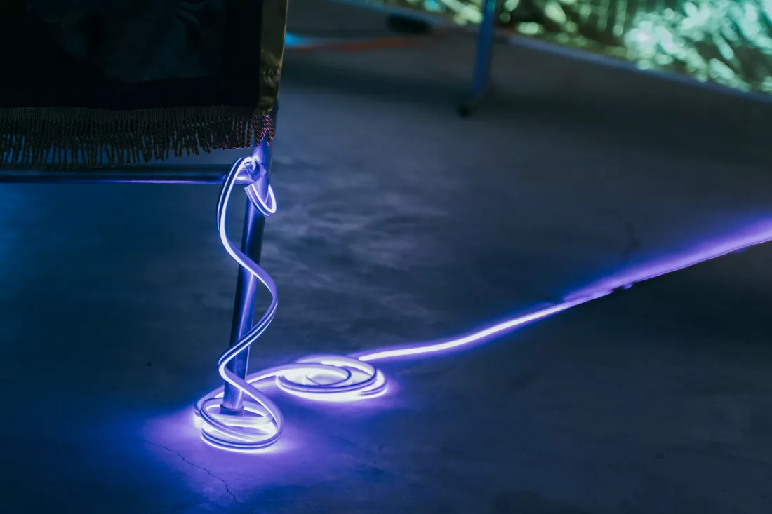 nguyen-quan-awqrOnuZKpo-unsplash
