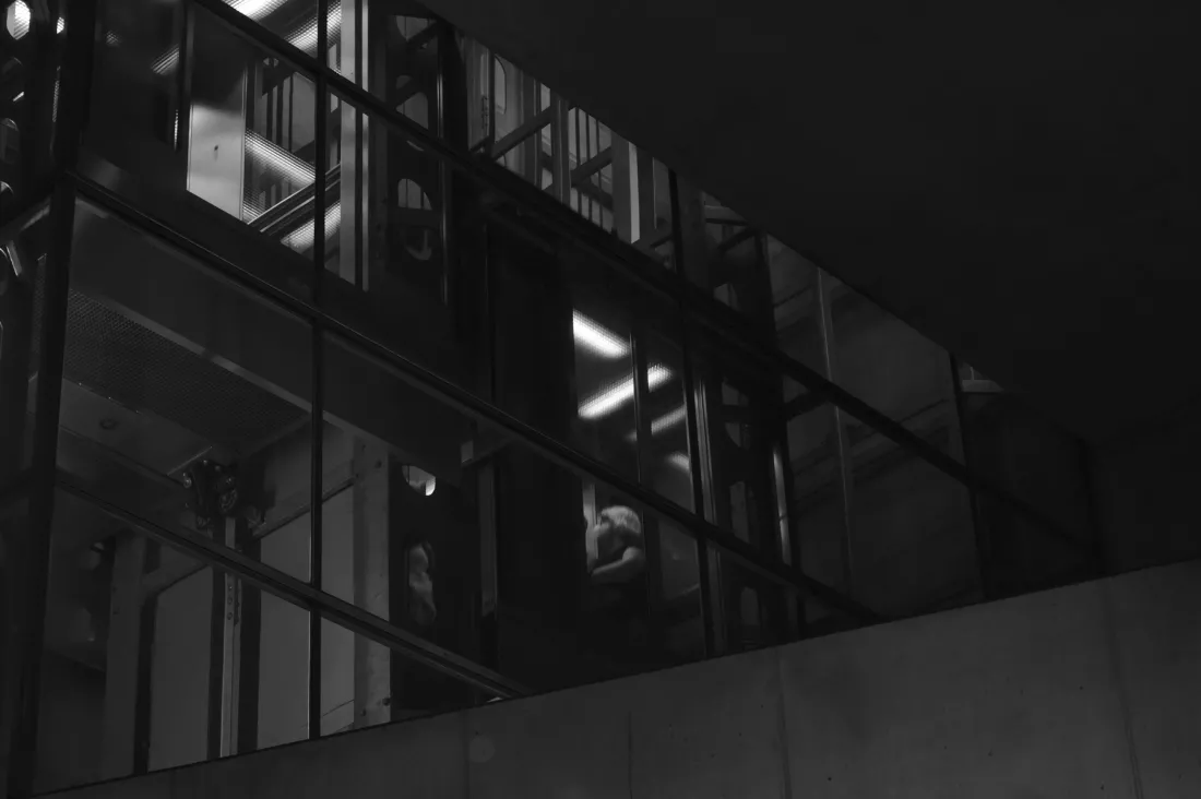 quentin-schulz-CRBfL9y9Y2U-unsplash