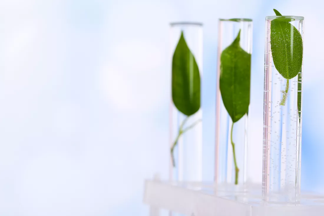 green-leaves-test-tubes-color-background