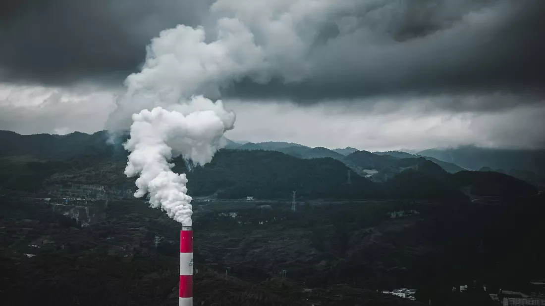 zhang-qc-ILzoiY_hPBY-unsplash