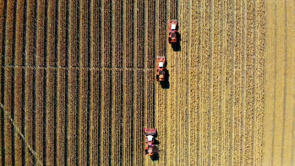 Agriculture test II
