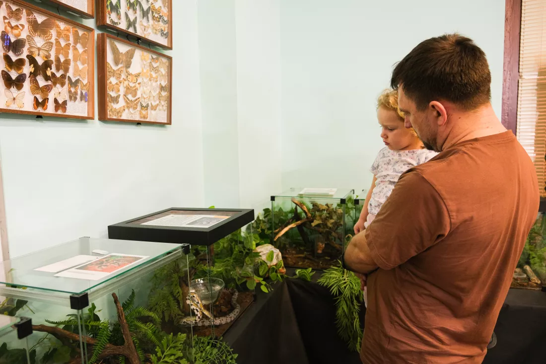 man-little-girl-are-looking-terrarium