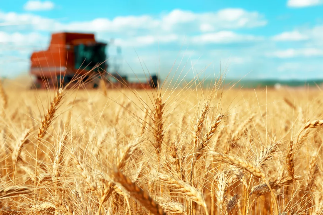 modern-agricultural-equipment-field