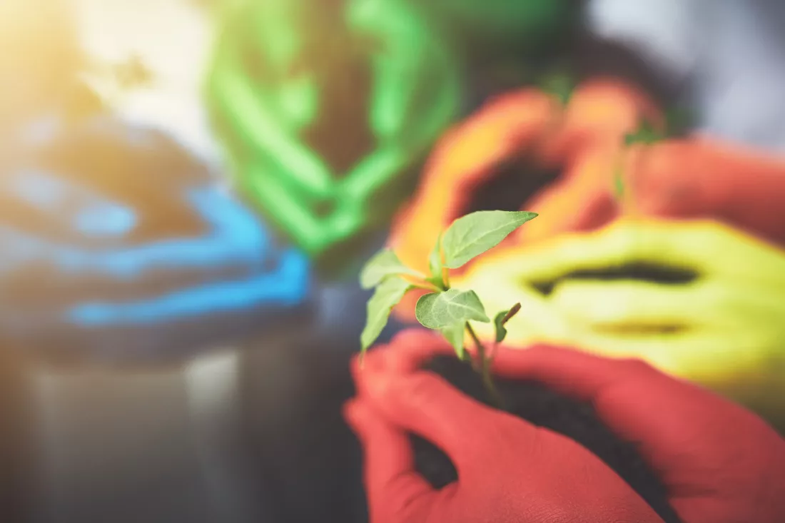 spring-diversity-soil-with-hands-people-growth-future-sustainability-support-volunteer-hope-with-closeup-plant-color-community-service-seedling-garden