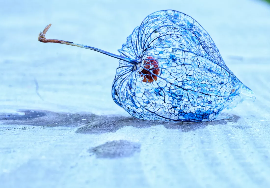 Nanofizyka i naonomateriałyv