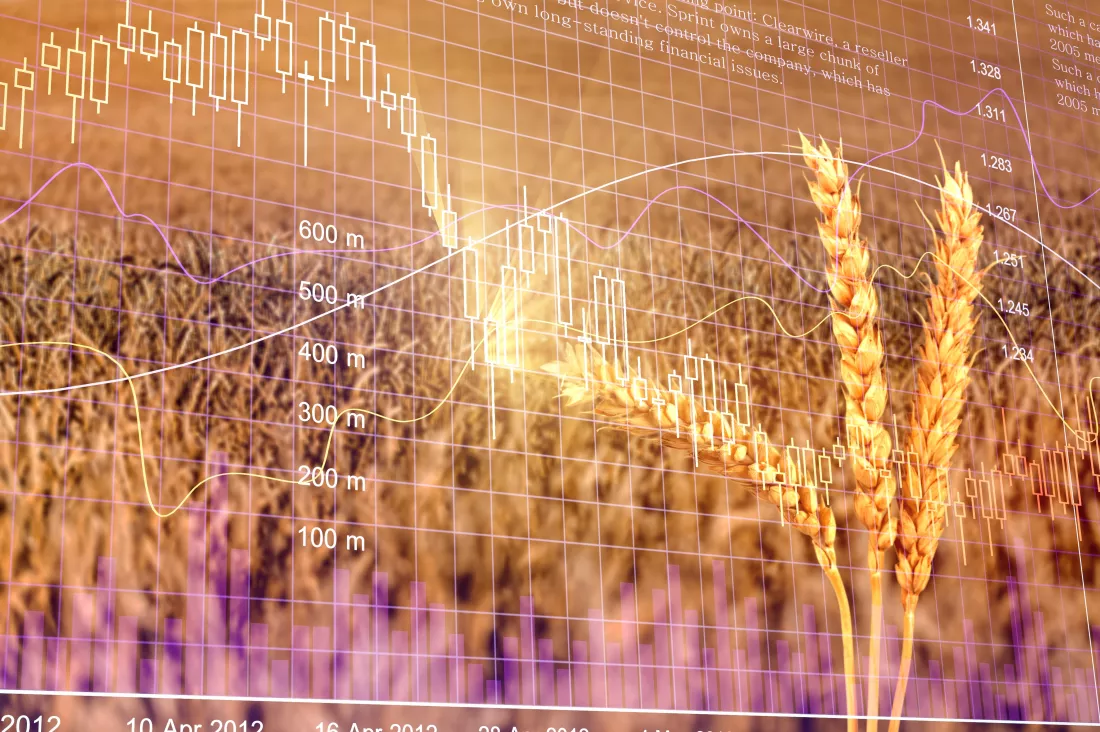 diagram-rising-food-prices-increase-price-wheat-seedson-exchange-quotes(1)