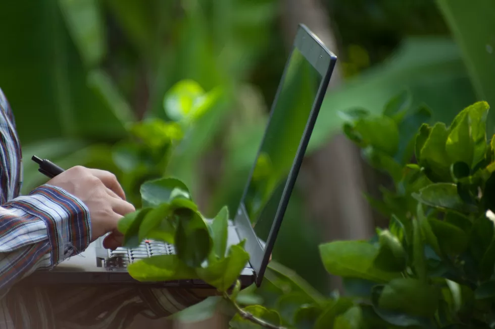cropped-image-man-using-laptop-by-plants