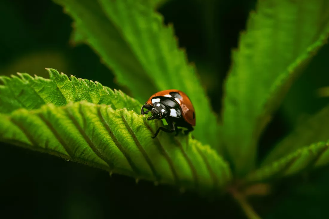 timothy-dykes-zVU_3H3cwjk-unsplash
